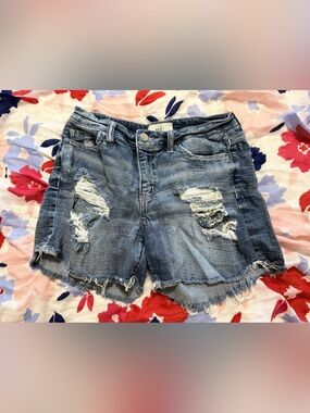 BKE Distressed Blue Jean Shorts with Frayed Hem